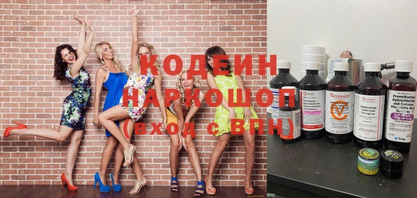 прущие крисы Бородино