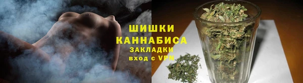 амф Бронницы