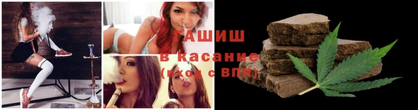 прущие крисы Бородино