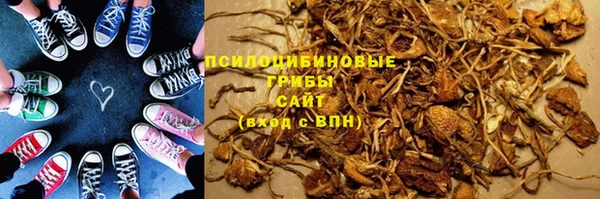амф Бронницы